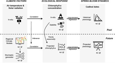 Climate Change Induced Trends and Uncertainties in Phytoplankton Spring Bloom Dynamics